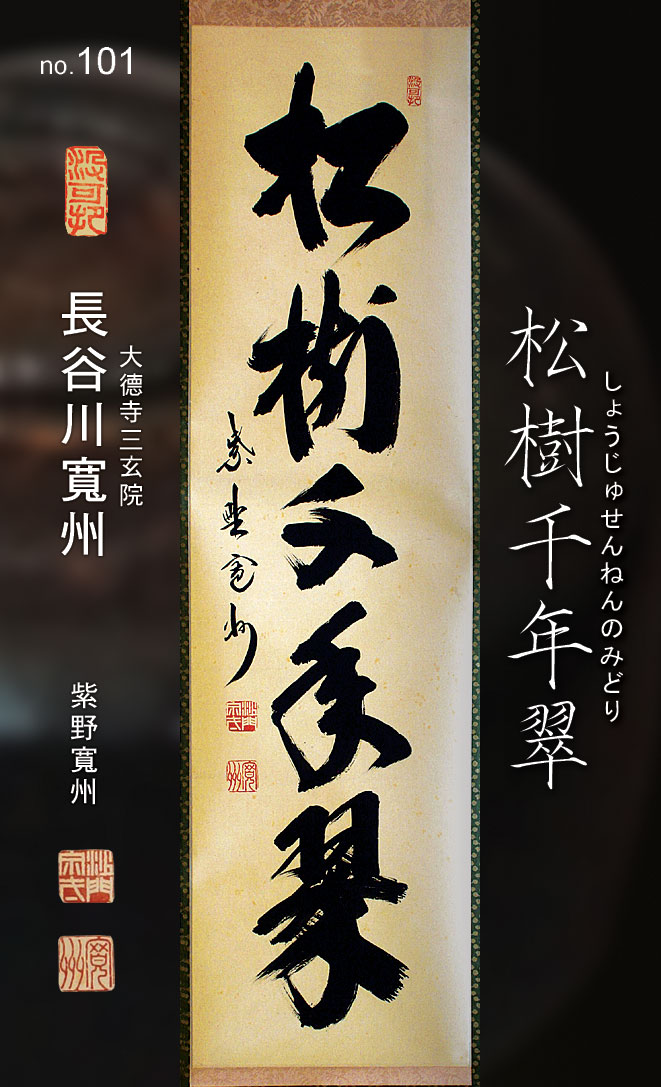 松樹千年翠しょうじゅせんねんのみどり-茶席的禪語掛軸